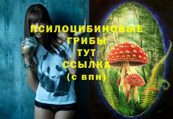 a pvp Абдулино